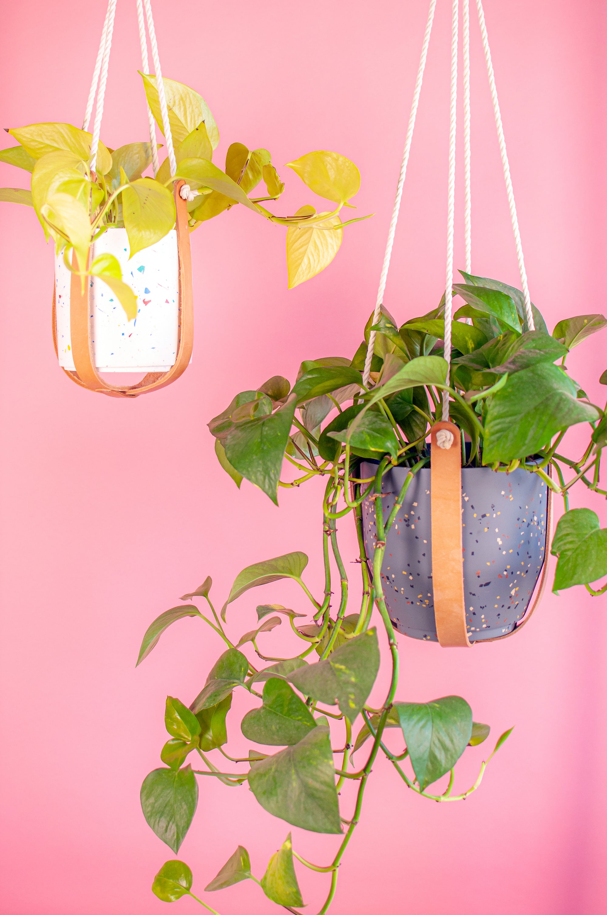 Leather Plant Hanger - The Minimal
