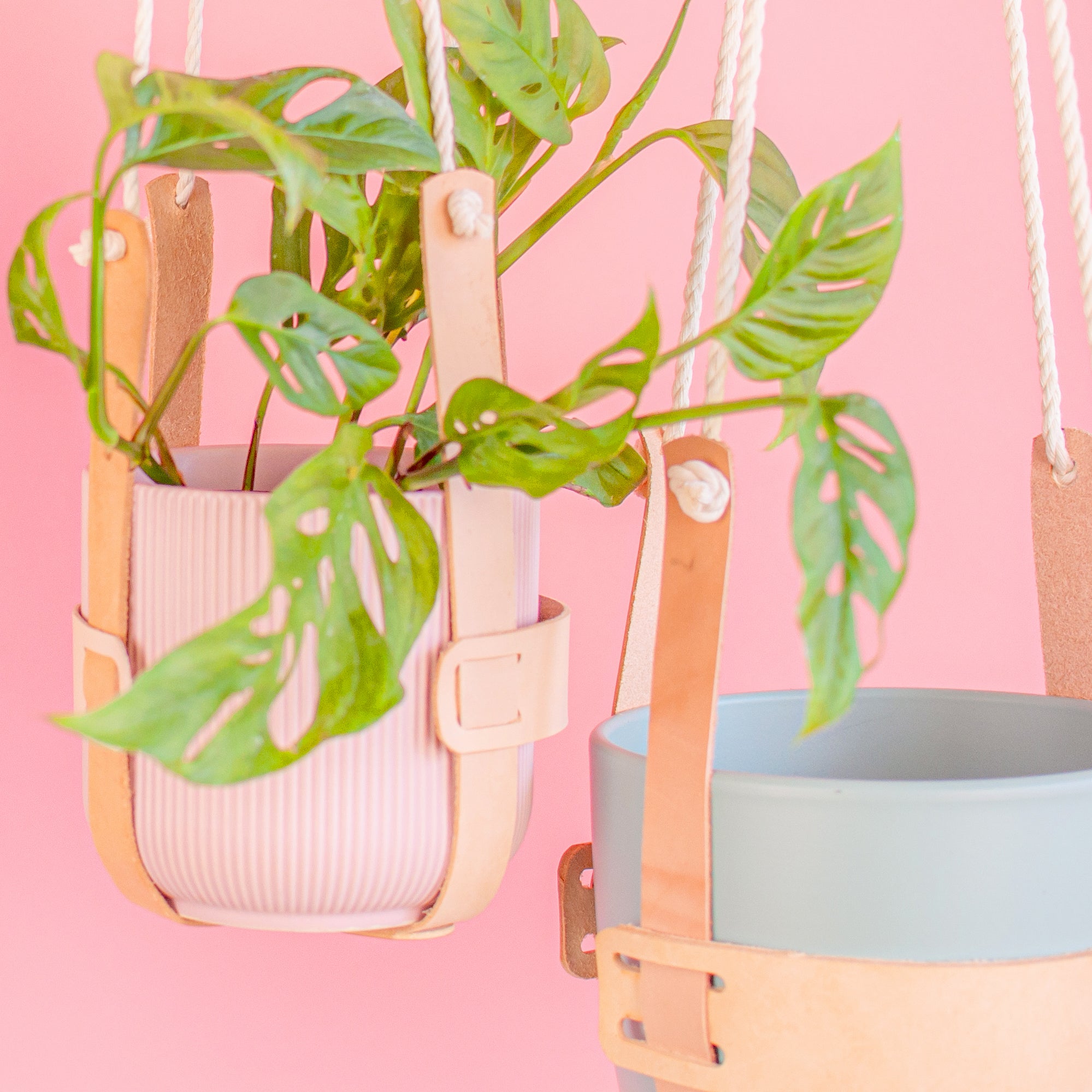 Leather Plant Hanger - Drift