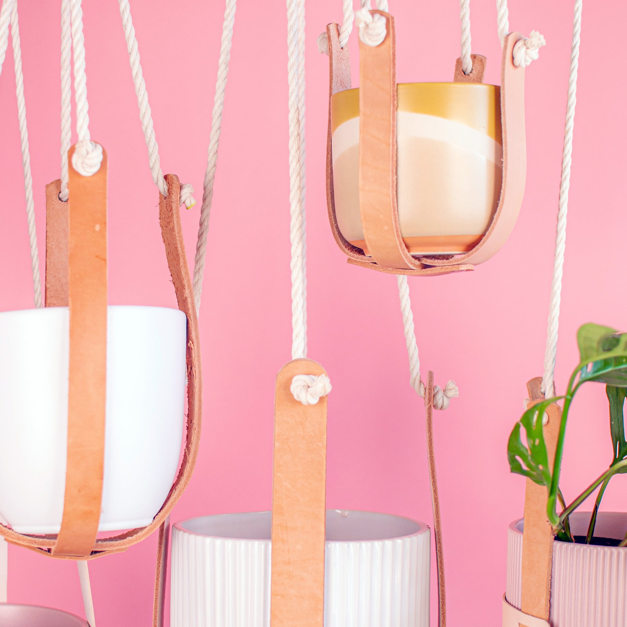 Leather Plant Hanger - The Minimal