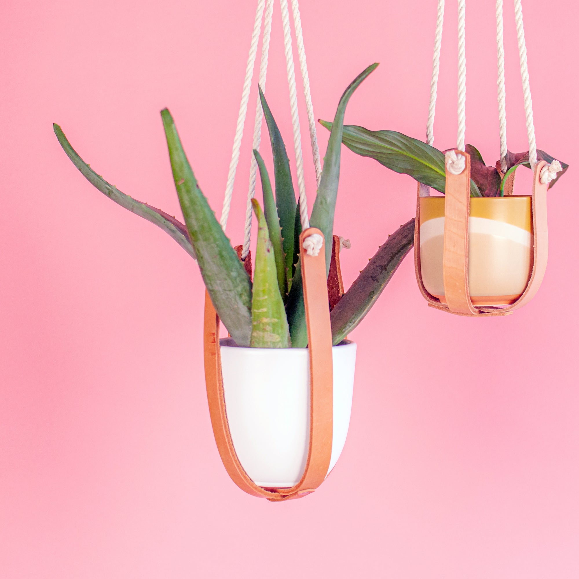 Leather Plant Hanger - The Minimal