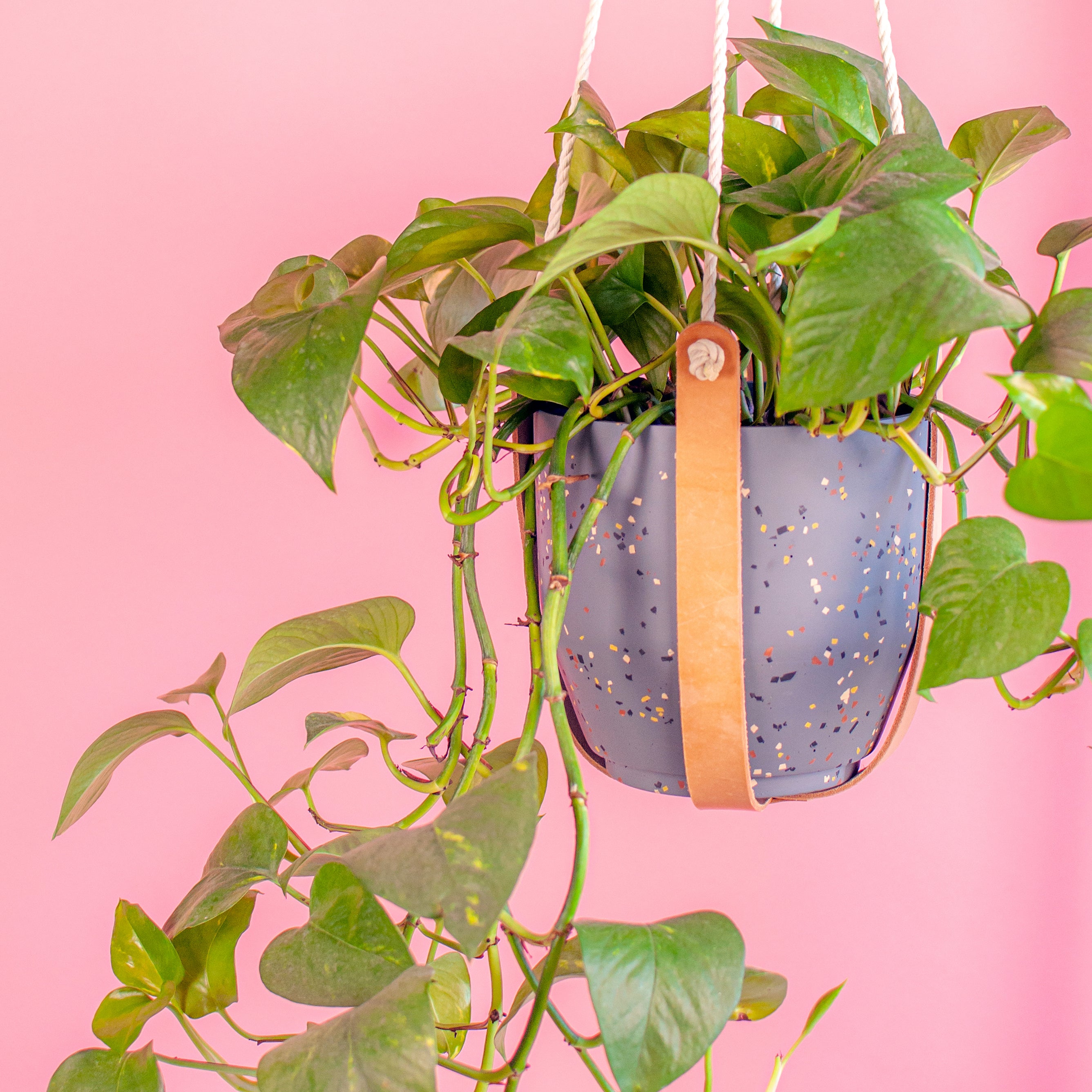 Leather Plant Hanger - The Minimal