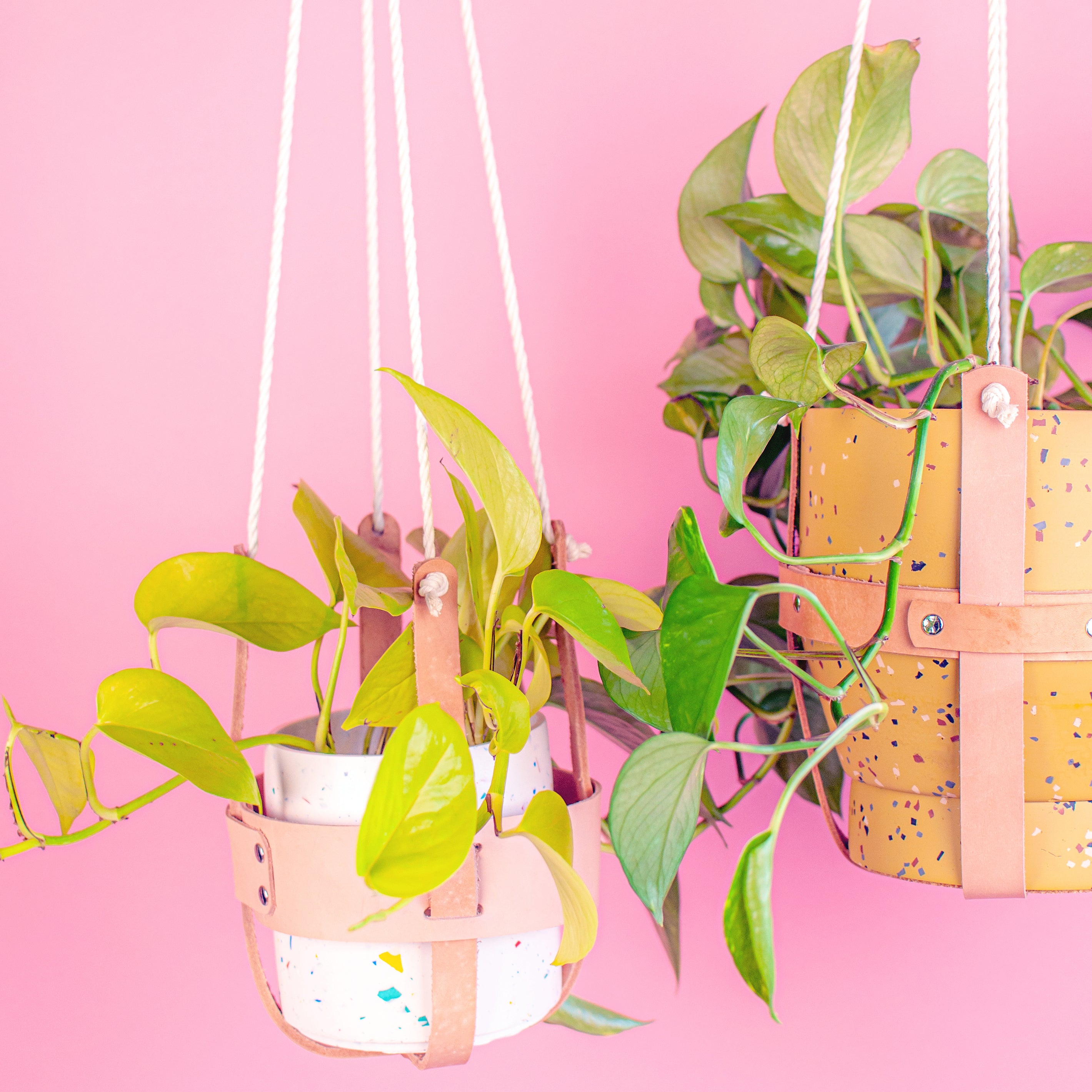 Leather Plant Hanger - Subsume